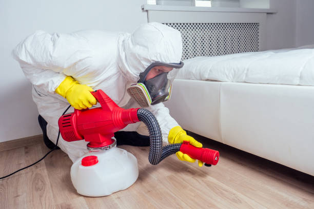 Best Pest Removal Services  in Boiling Springs, NC